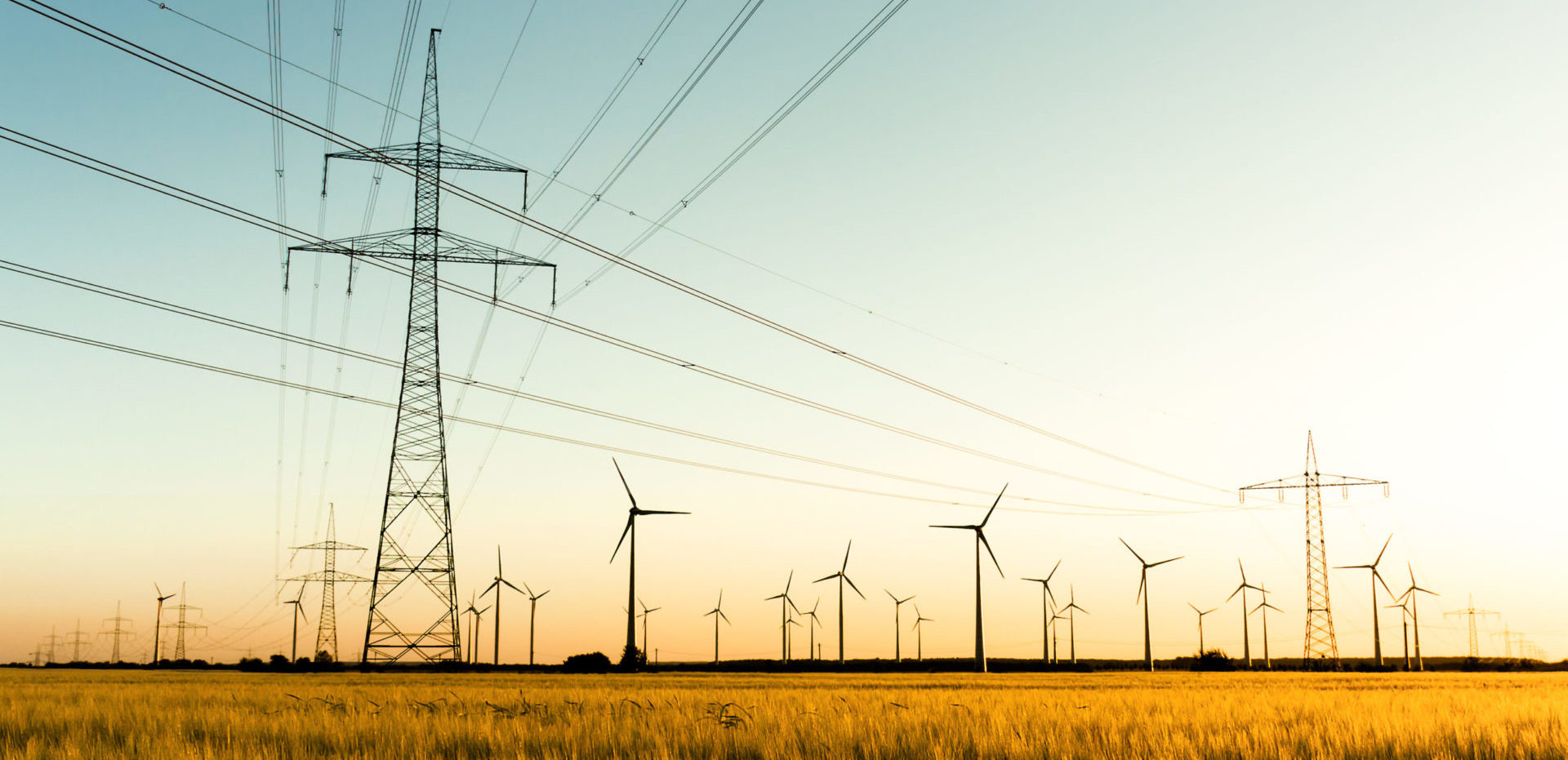 Power poles and wind turbines in autumn sunlight