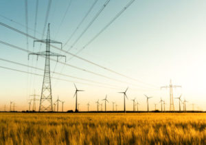 Power poles and wind turbines in autumn sunlight